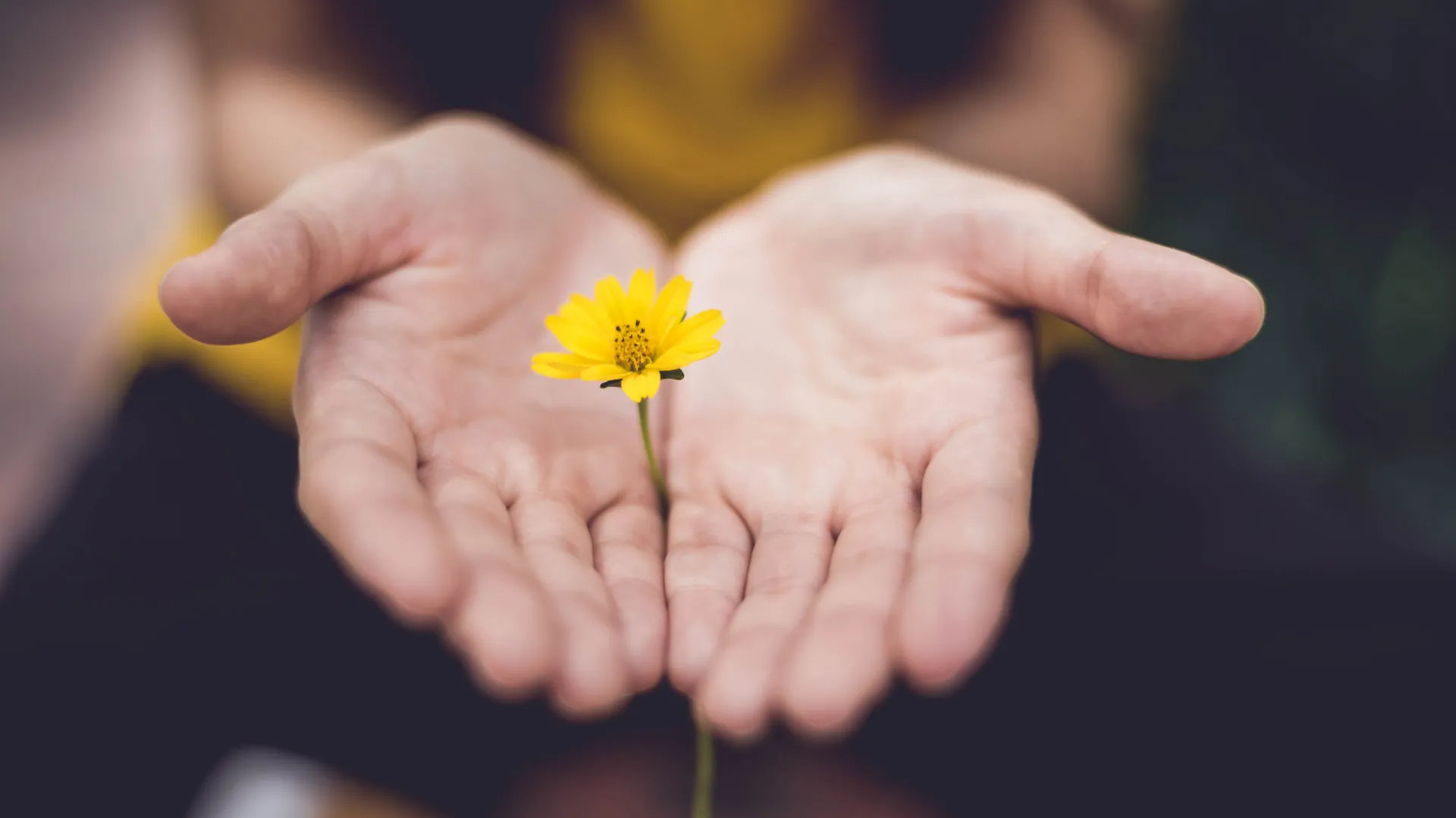 flower single hands